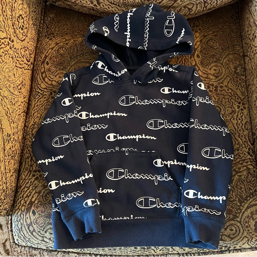 Champion Pullover Hoodie Sweatshirt